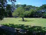 伴野城趾2