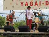 2010yagairat1